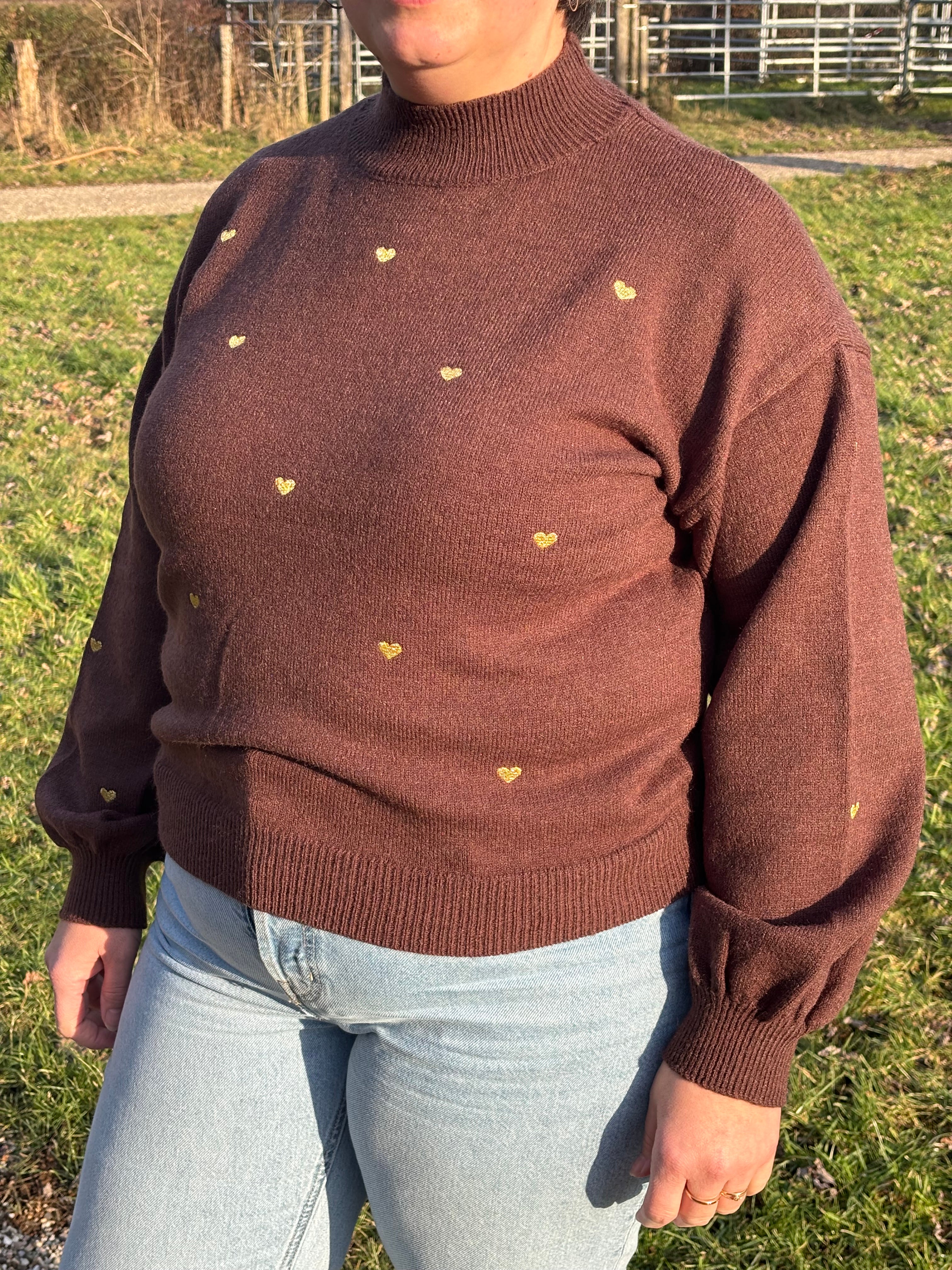 Sweetheart Sweather Brown