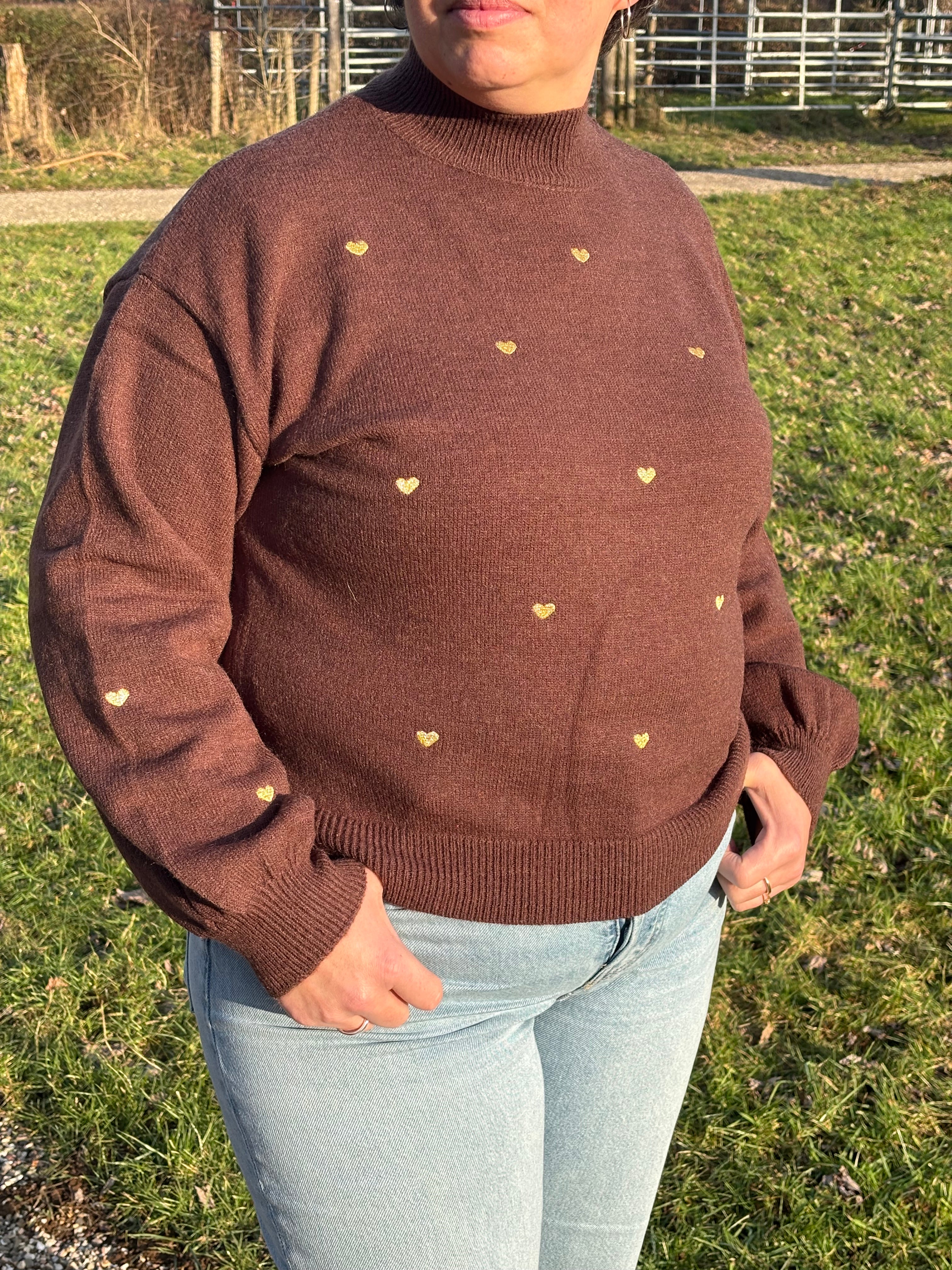 Sweetheart Sweather Brown